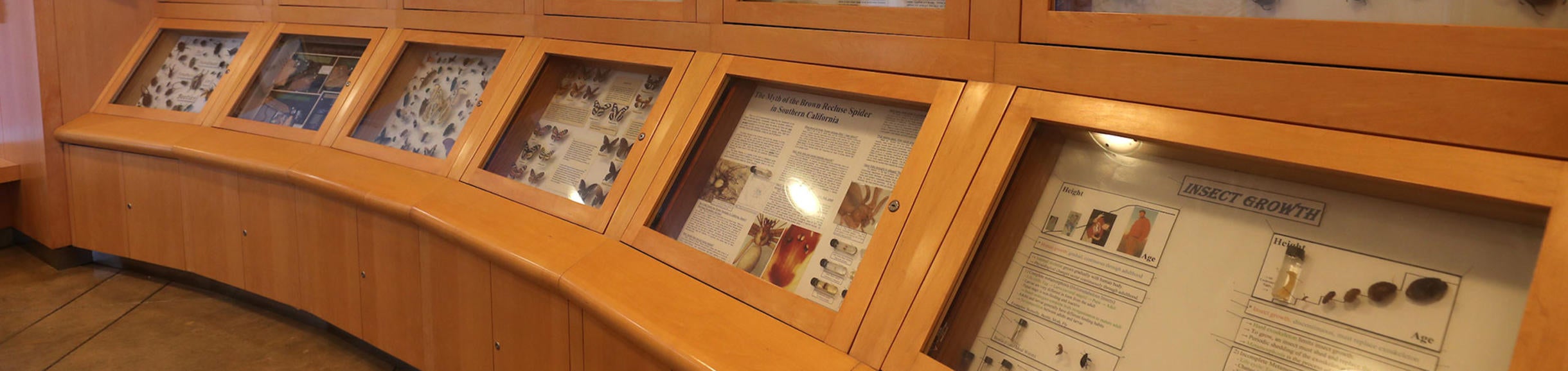 Entomology Museum display cases (c) UCR/Stan Lim