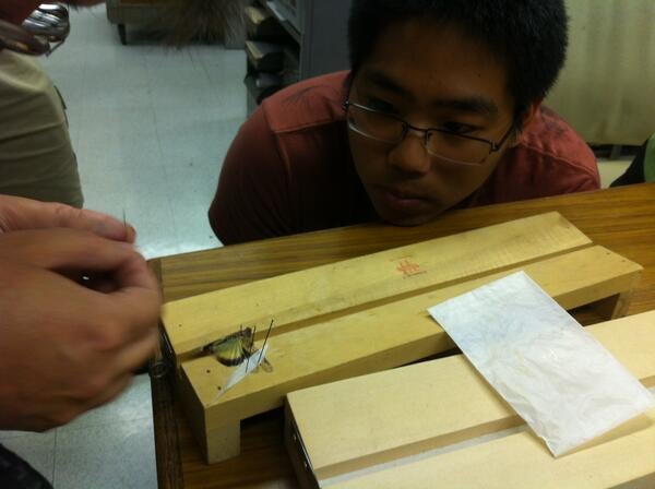    Students being taught techniques for specimen preparation.
